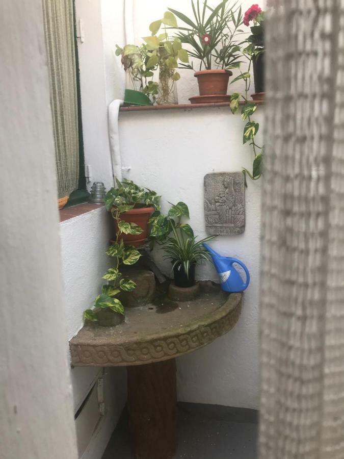 Cal Viladot Agramunt Esterno foto